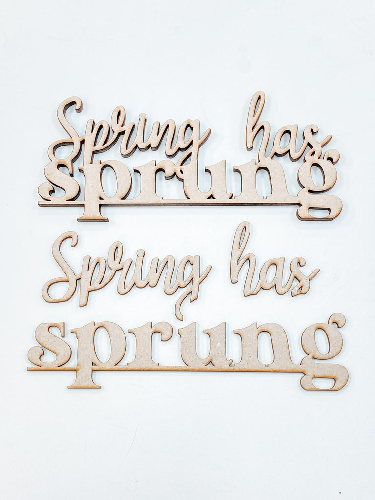 Customizable DIY Sign Kit | Words | Spring has Sprung
